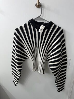 Striped Black and White Cropped Sweater